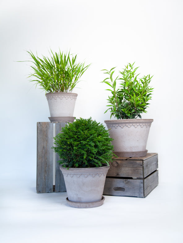 Soto Green - Shade - 3/Set